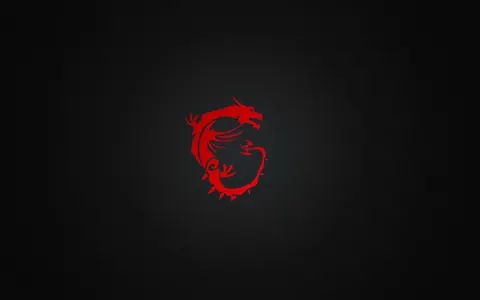 MSI