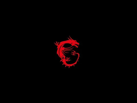 MSI