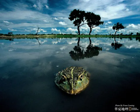 National Geographic