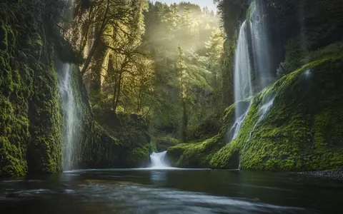 Cascate nella foresta
