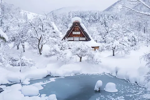 Neve e natura