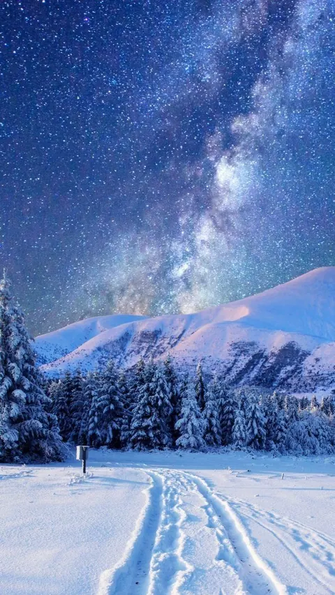 Neve