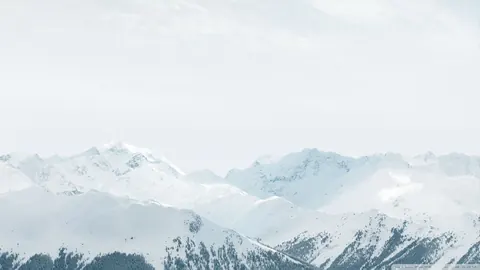 Neve