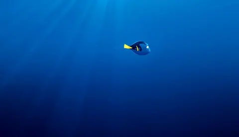 Nirvana
