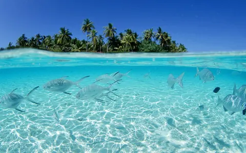 Oceani