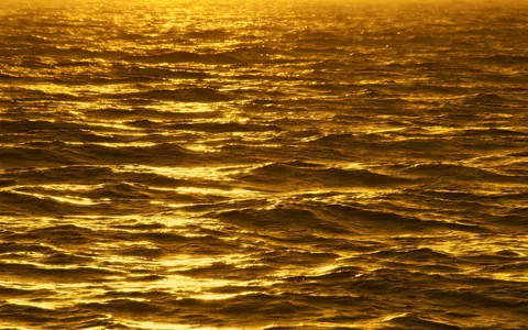 Oro graziosi