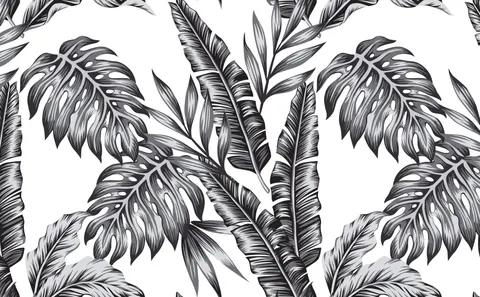 Palme giganti