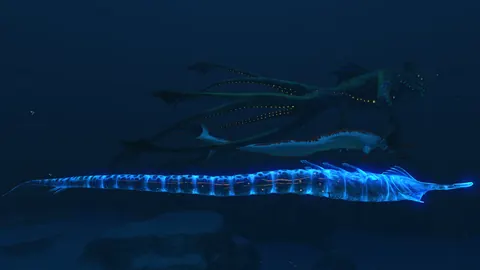 Reaper di Subnautica
