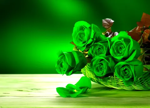 Rose verdi