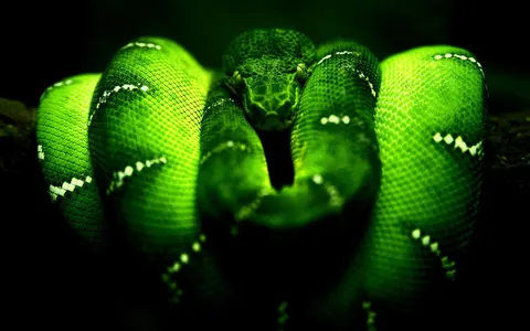 Serpenti
