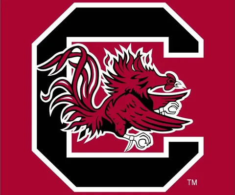 South Carolina Gamecocks