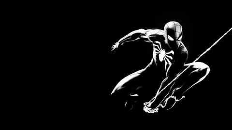 Spider-Man in bianco e nero