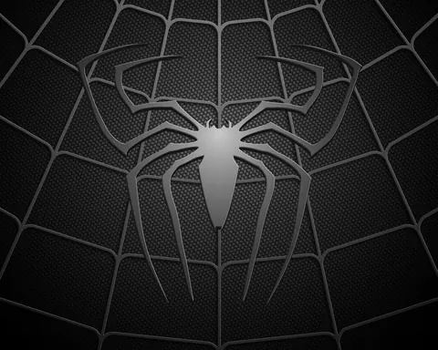 Spider-Man nero
