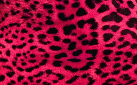 Leopardati rosa