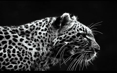 Leopardati