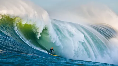 Surf