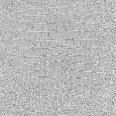 Texture argento e grigio