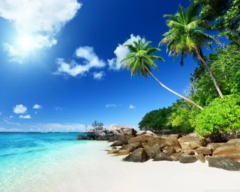 Paradisiaci