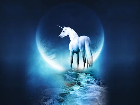 Unicorni